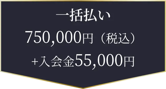 一括払い750,000円（税込）+入会金55,000円